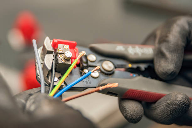 Best Local Electrician Companies  in Frankenmuth, MI