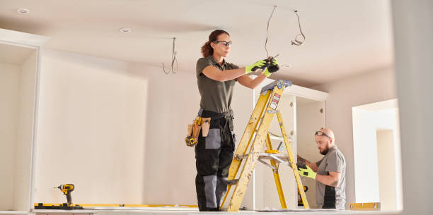 Best Generator Installation Services  in Frankenmuth, MI