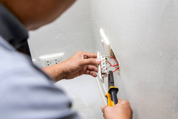 Best Ceiling Fan Installation Electrician  in Frankenmuth, MI