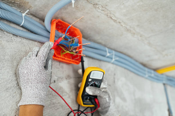 Best Affordable Electrician  in Frankenmuth, MI