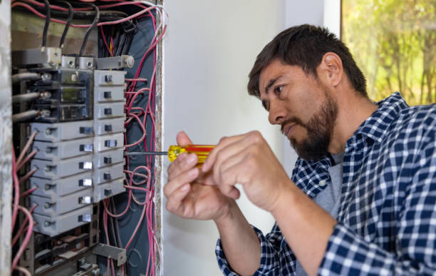 Best Industrial Electrical Services  in Frankenmuth, MI